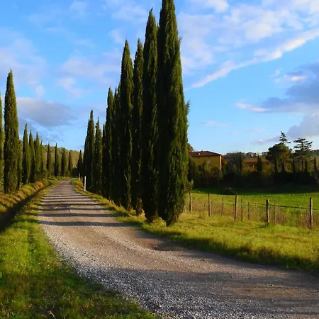 Holiday home Restful Farmhouse Near Forest In Vinci With Pool Vinci