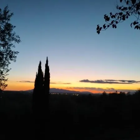 Restful Farmhouse Near Forest In Vinci With Pool *