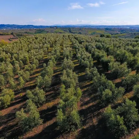 Restful Farmhouse Near Forest In Vinci With Pool Holiday home Vinci