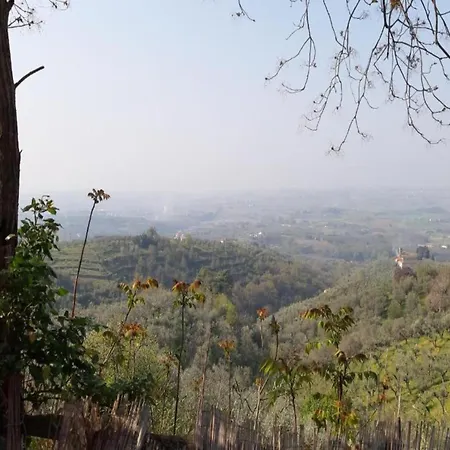 Restful Farmhouse Near Forest In Vinci With Pool Holiday home