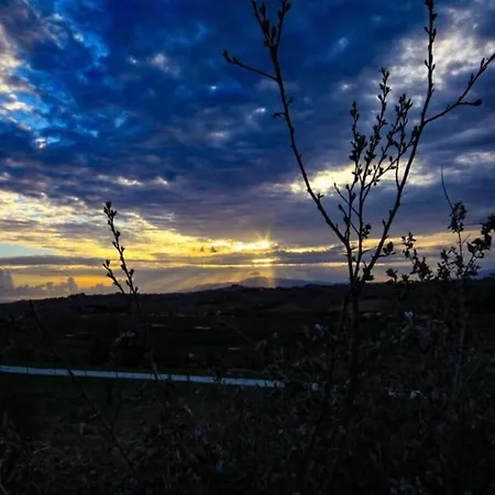 Holiday home Restful Farmhouse Near Forest In Vinci With Pool