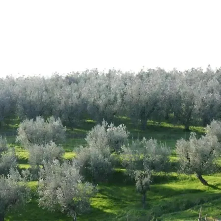 Holiday home Restful Farmhouse Near Forest In Vinci With Pool