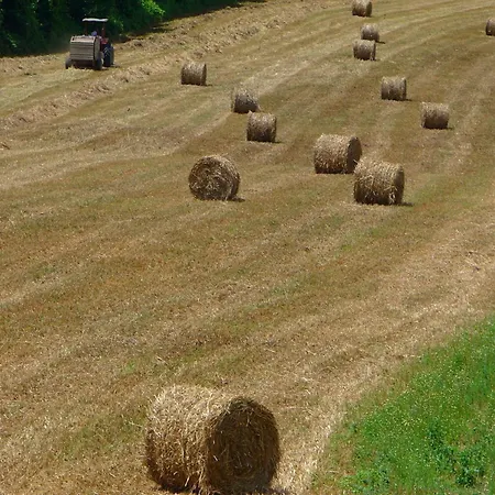 Restful Farmhouse Near Forest In Vinci With Pool Holiday home *